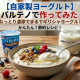【自家製ヨーグルト】パルテノで作ってみた！ねっとり濃厚でまるでギリシャヨーグルト