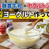 コストコの酪農牛乳×ヤクルト ジョアで自家製ヨーグルトを作ってみた【ホエーがいっぱい】