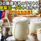 コストコの酪農牛乳×ラクトフェリンで自家製ヨーグルトを作ってみた【アワ立ち注意】